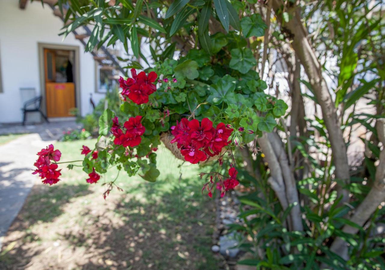 Stay Cleverly Self Catering Apartments Walvis Bay Exterior foto